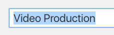 WordPress Page Title